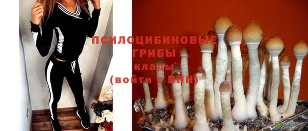 индика Медногорск