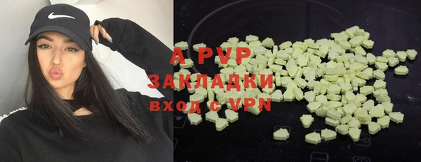индика Медногорск