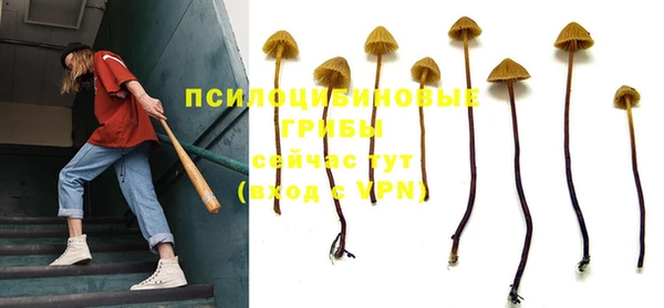 гидра Мегион