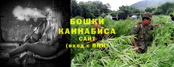 индика Медногорск