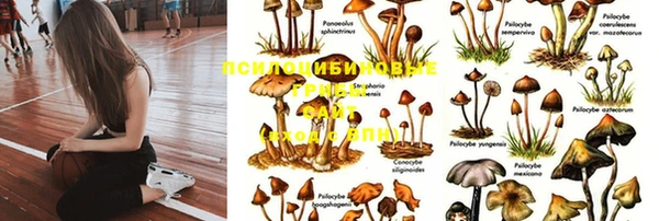 гидра Мегион
