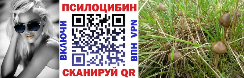 Псилоцибиновые грибы Magic Shrooms  даркнет сайт  Ахтырский 